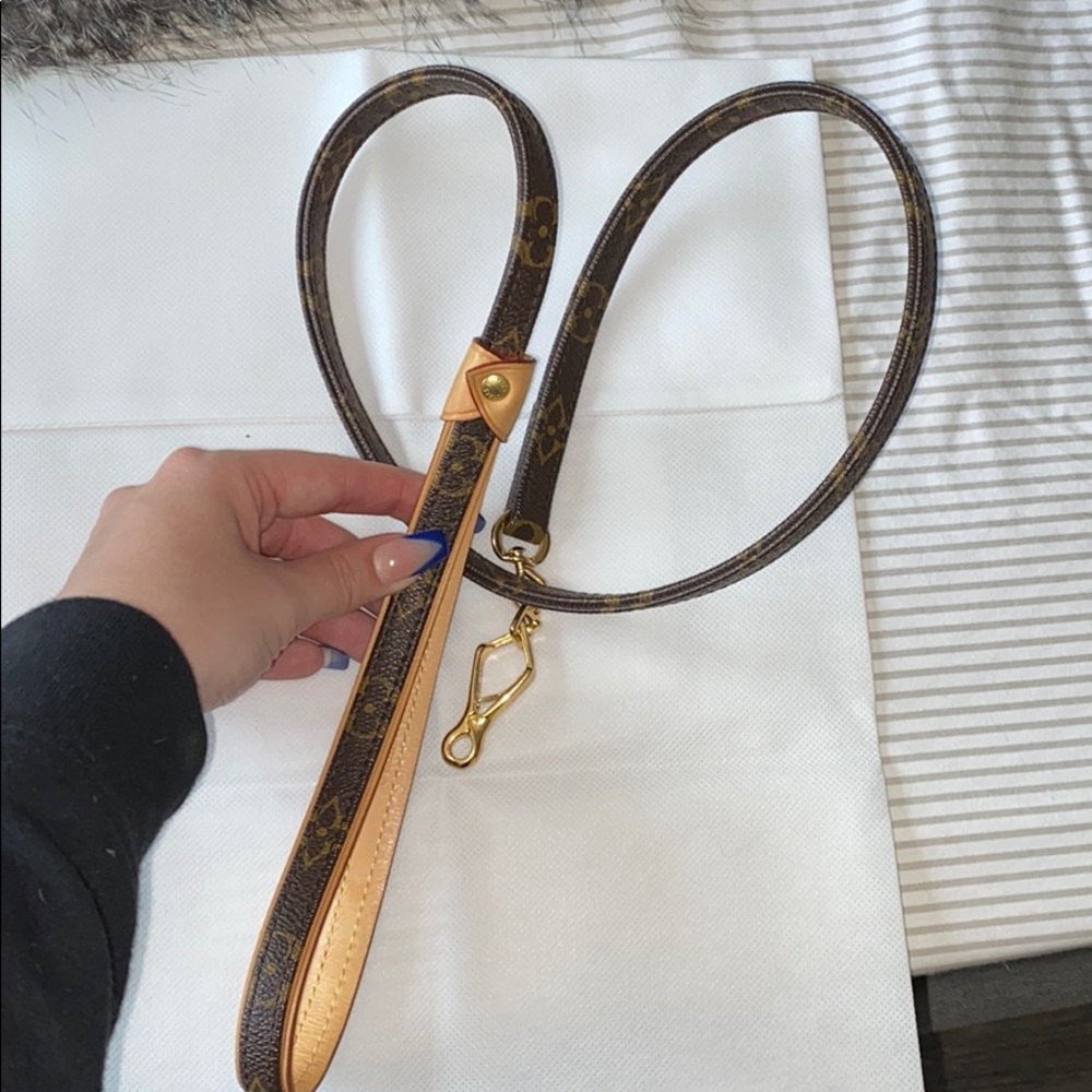 Louis Vuitton Dog Leash